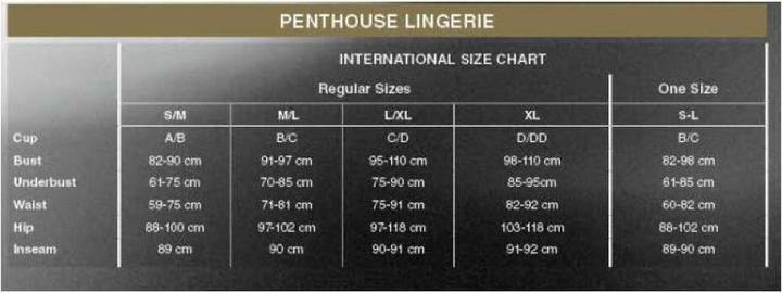 Produktbild Penthouse Lingerie Body "Salute me" (M, L)