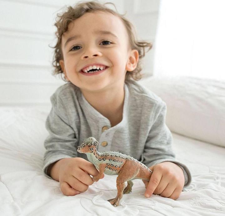 Produktbild Safari Pachycephalosaurus