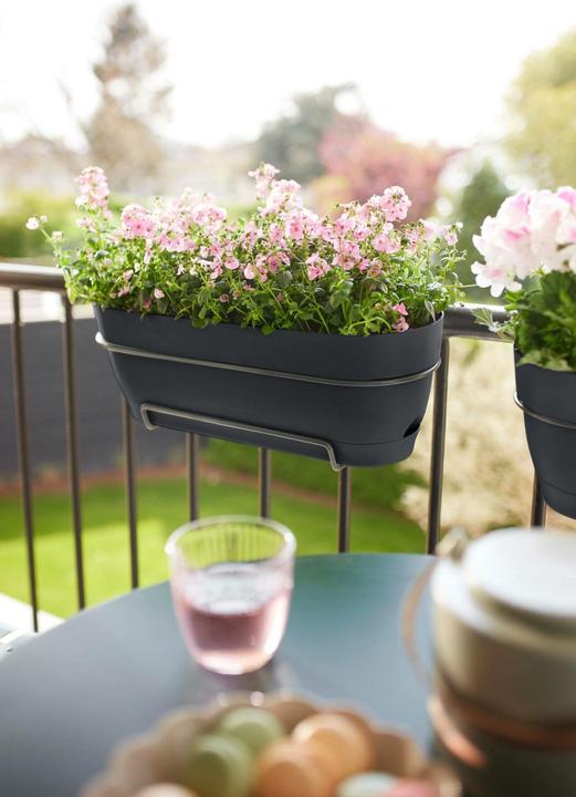 Immagine prodotto Elho Balkonkasten Vibia Campana 49x18.2x17 cm (18.20 cm)