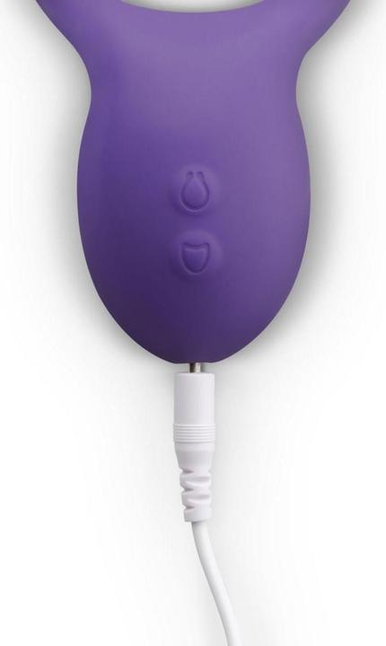 Produktbild Teazers Paarvibrator