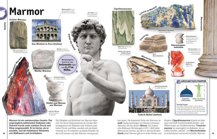 Produktbild Steine (Deutsch, Dan Green, 2017)