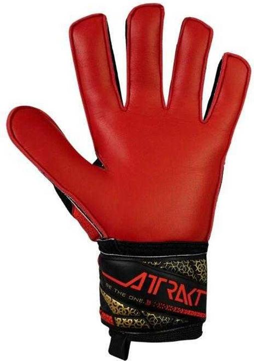 Produktbild Reusch Attrakt Solid TorhüterHandschuhe (10.5)