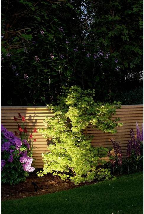 Produktbild Paulmann Outdoor Plug & Shine Sting Starterset (520 lm, IP67)