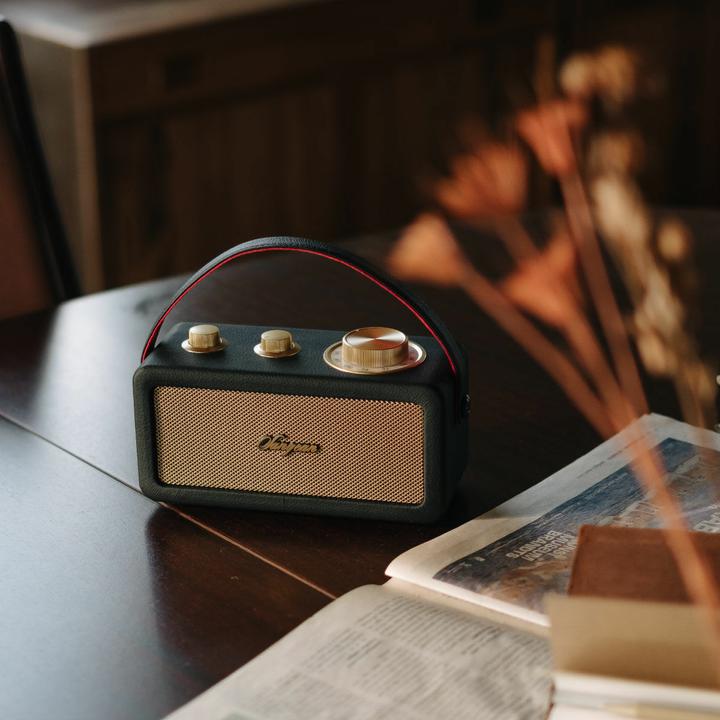 Productafbeelding Sangean RA-101 Oplaadbare Radio FM Bluetooth®, AUX Oplaadbaar Zwart, Goud (FM, Bluetooth)