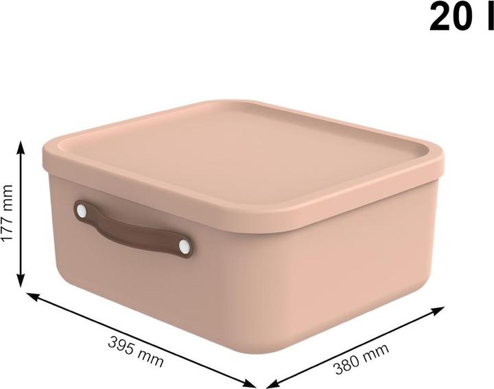 Image du produit Rotho Boîte de rangement Maloja 20 l, Meadow Rose (20 l)