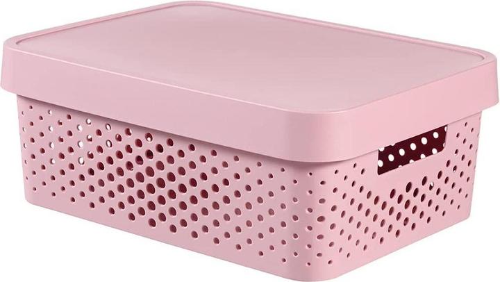 Curver STOR BOX INFINITY 11L 229155 AVEC TROUS (27 cm, 11 l)