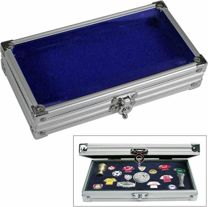 Safe Alu Vitrine193 x 115 x 40 mm