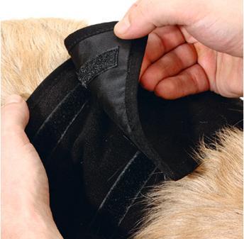 Actual product image Karlie Gentleman Wraps Plus (Dog)