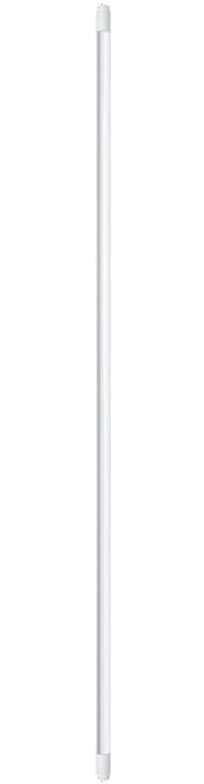 Immagine prodotto Müller Licht Tubo LED da 21,8 Watt, G13, 1500 mm, bianco luce diurna (G13, 22 W, 2100 lm, 1 x, F)