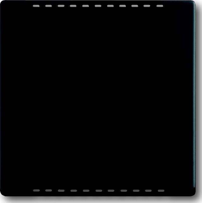 Actual product image Busch-Jaeger Central disc for refrigerator compartment 2CKA006599A2967