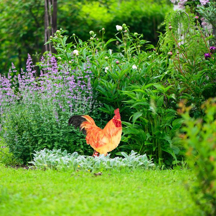 Produktbild Relaxdays Hahn