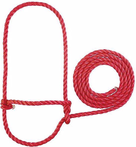 Rot