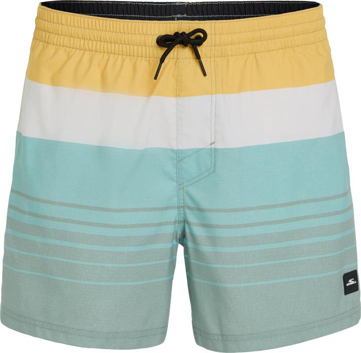 Image du produit O'Neill MIX & MATCH CALI PRINT 15" SWIM SHORT