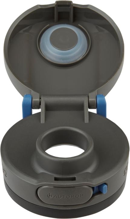 Actual product image Contigo JACKSON CHILL 2.0 SS 2OOZ Water Bottle BLU CORN (0.59 l)