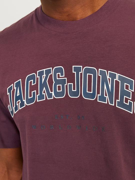 Produktbild Jack & Jones Jjecaleb Varsity Tee Ss O-Neck Noos (XS)