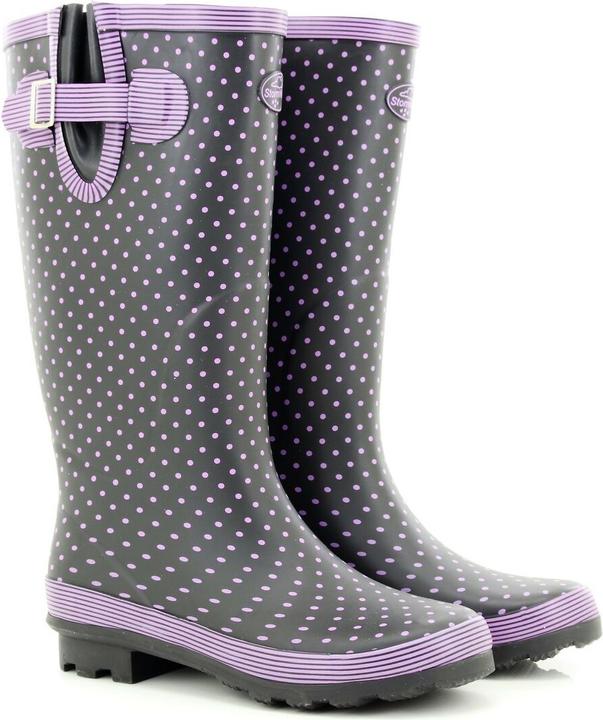 Image du produit Storm Wells Bottes en caoutchouc à pois (38)