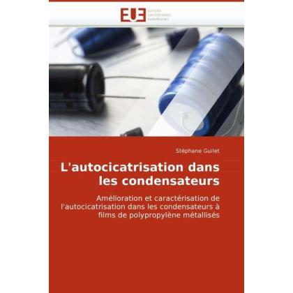 L'autocicatrisation dans les condensateurs, Fachbücher