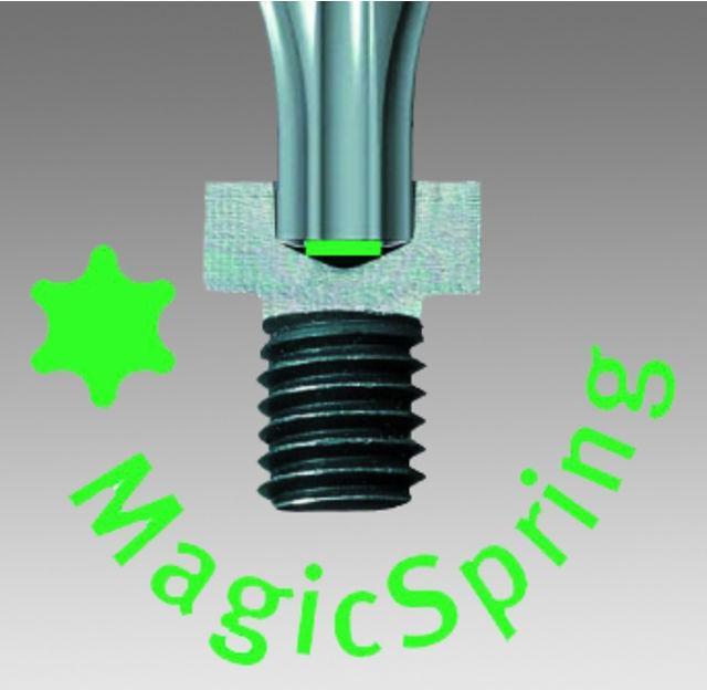 Actual product image Wiha Workshop Inside TORX Interchangeable Kl (TX)