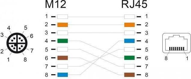 Actual product image Delock M12 adapter cable X-coded 8 pin plug to RJ45 socket 50 cm (S/FTP, CAT6a, 0.50 m)