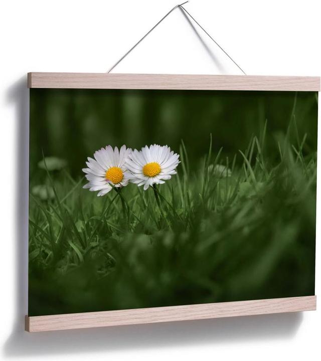 Produktbild Trenddeko Ben Heine - Zwei Gänseblümchen (60 x 50 cm)