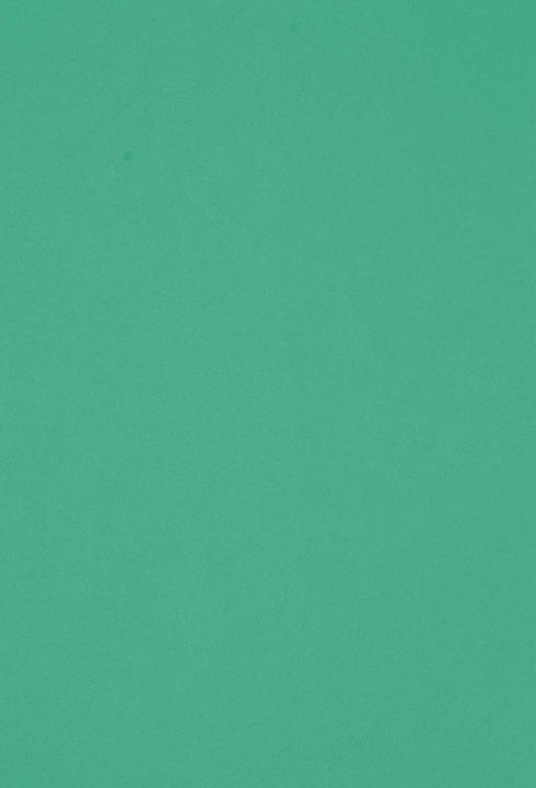 Produktbild Folia Moosgummiplatte