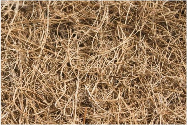 Produktbild Windhager Mulchscheibe Cocodisc