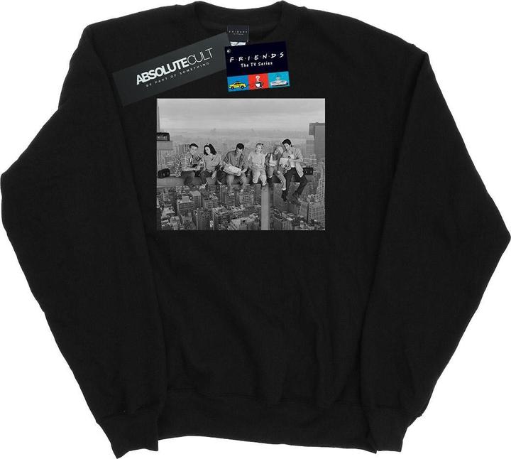 Actual product image Friends Womens/Ladies Construction Photo Sweatshirt (S)