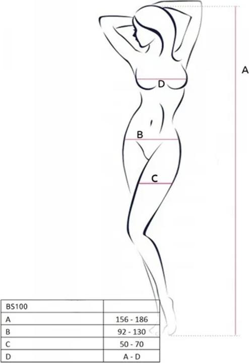 Produktbild Passion Bs100 Bodystocking Negro Talla Unica (One Size)