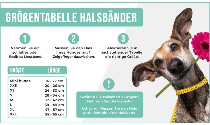 Produktbild Dog with a mission Halsband Bonnie, XXL, 4 cm (XXL, Hund, Allgemein)