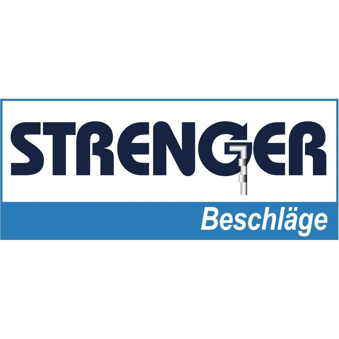 Thumbnail - Strenger, Türbeschlag + Scharnier, Federscharnier 50 x 50 x 2 mm, Edelstahl