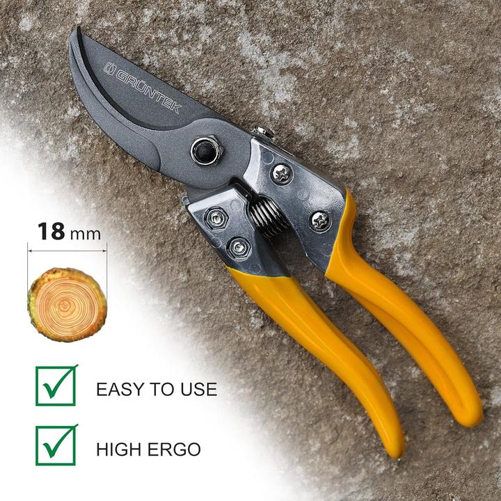 Actual product image Grüntek Bypass Baum-, Garten- & Astschere Phoenix