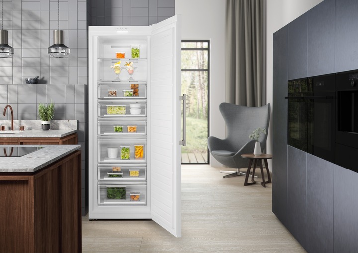 Actual product image Electrolux SG405N (Stand-alone, 406 l)