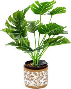 Actual product image Pot Olea Cylinder Brown 11 cm