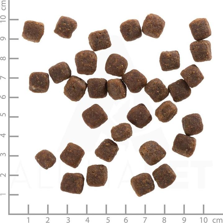 Immagine prodotto Wolfsblut Cucciolo di anatra selvatica (Junior, Cucciolo + gattino, 1 pz., 2000 g)