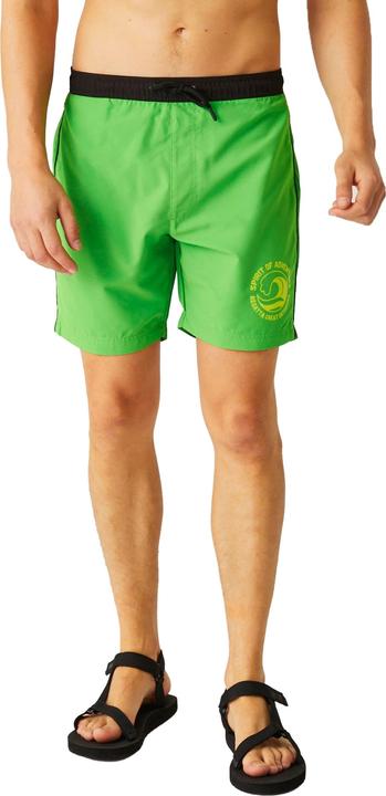 Actual product image Regatta Mens Bentham Swim Shorts (3XL)