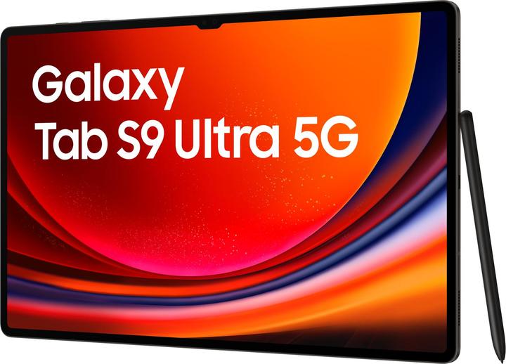 Immagine prodotto Samsung Galaxy Tab S9 Ultra (5G, 14.60", 256 GB, Grigio grafite)