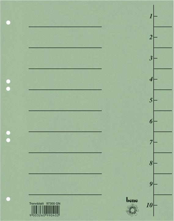 Actual product image Bene Dividers