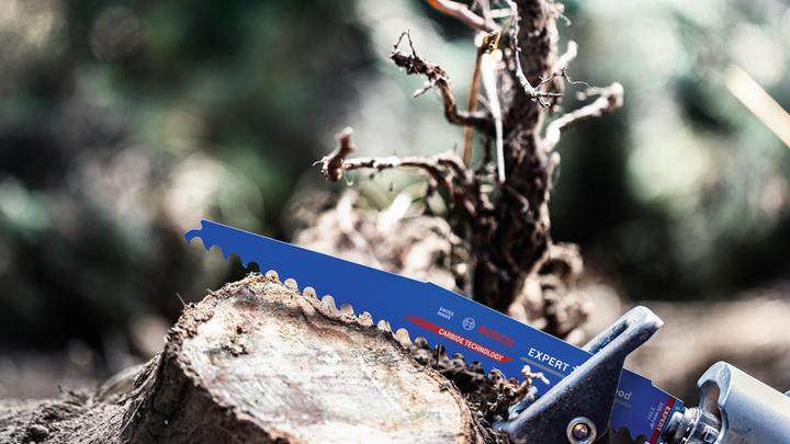 Immagine prodotto Bosch Professional Zubehör Lama per sega alternativa EXPERT 'Tough Wood' S 1142 KHM, 3 pezzi
