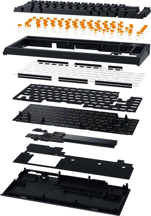 Actual product image Razer BlackWidow V4 Pro (US, Cable, Wireless)