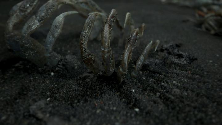 Actual product image Sony Death Stranding PlayStation 4, PlayStation 4 Pro (PS4, DE)