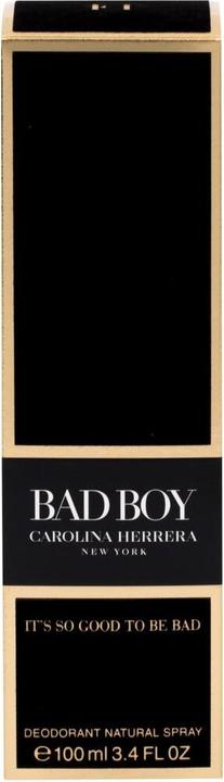 Actual product image Carolina Herrera bad boy (Spray, 100 ml)