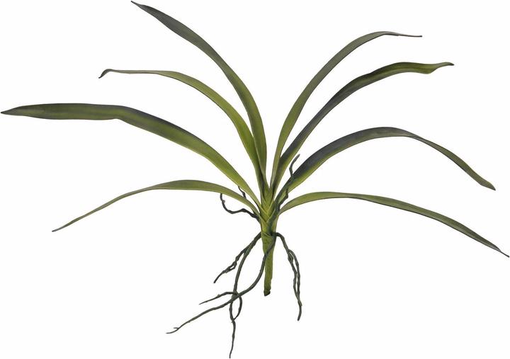 Europalms Orchideenblatt (45 cm)