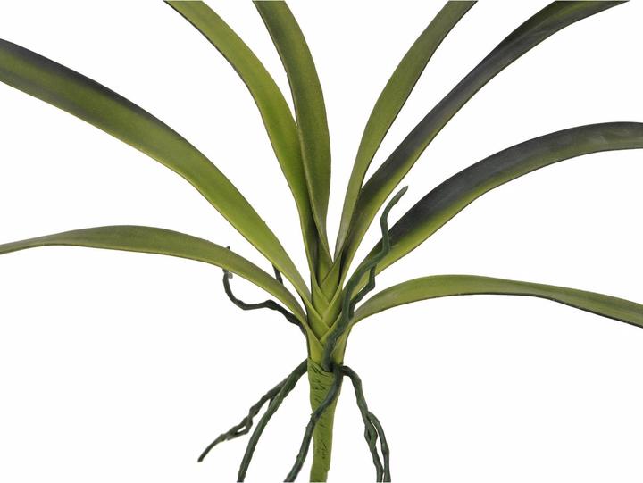 Produktbild Europalms Orchideenblatt (45 cm)