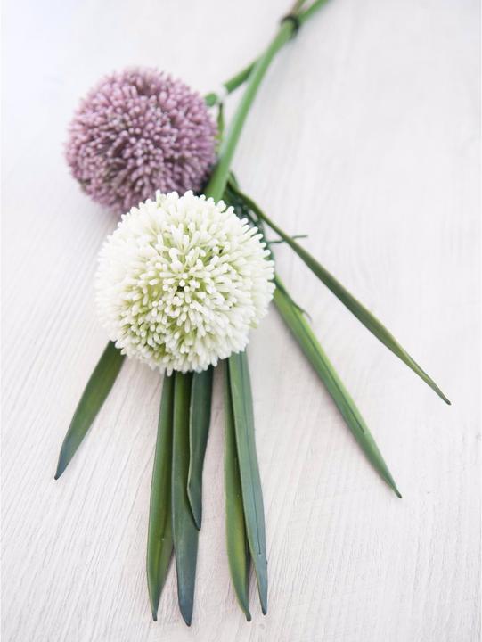 Produktbild Europalms Orchideenblatt (45 cm)