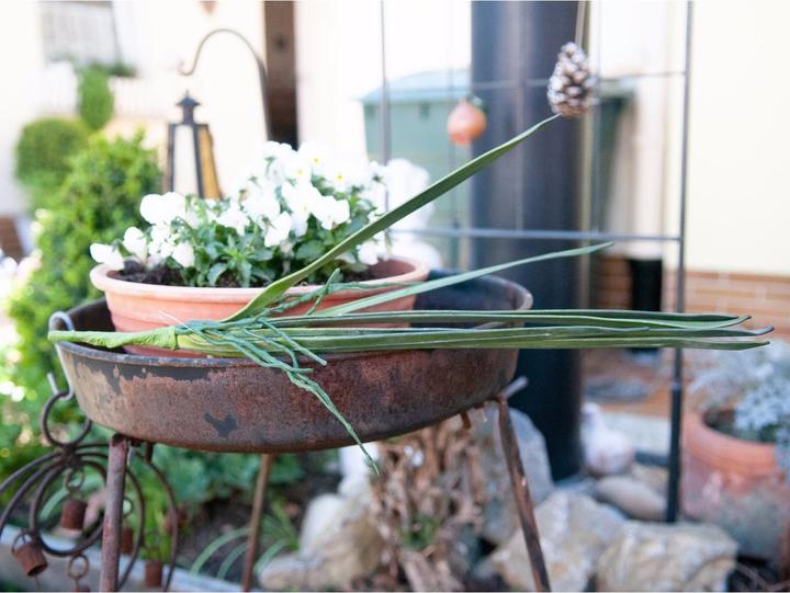 Produktbild Europalms Orchideenblatt (45 cm)