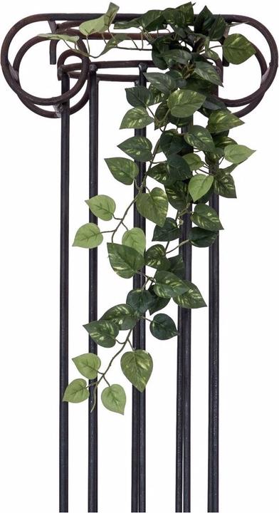 Immagine prodotto Europalms Pothos Bush Classic (70 cm)