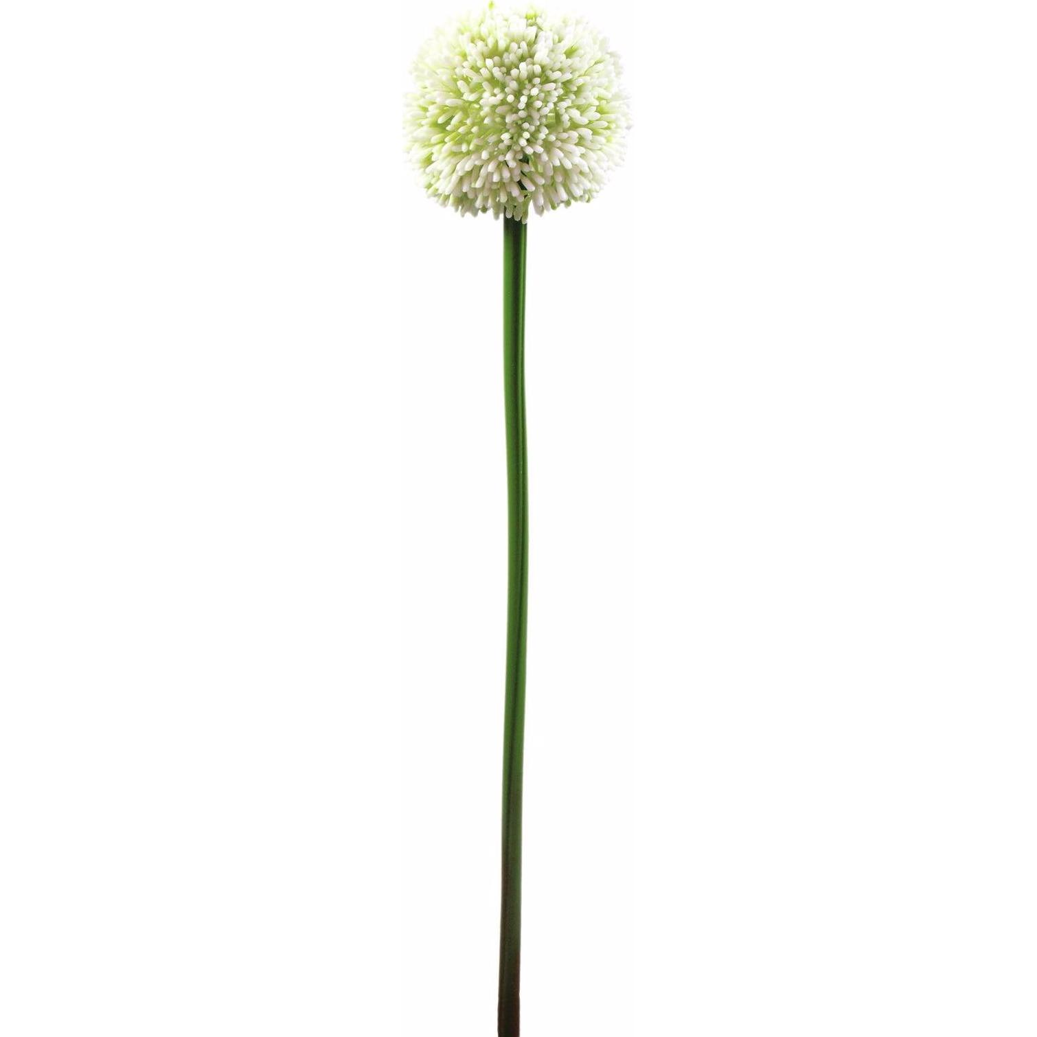 Europalms, Kunstpflanzen, Alliumzweig (55 cm)
