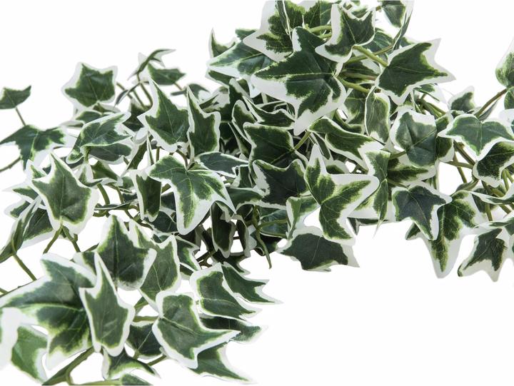 Actual product image Europalms Holland Ivy Garland Classic (180 cm)