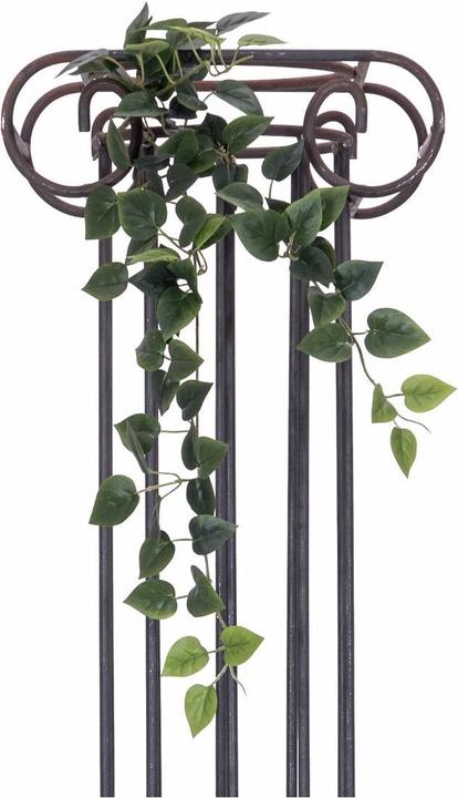 Immagine prodotto Europalms Philodendron Bush Classic (70 cm)