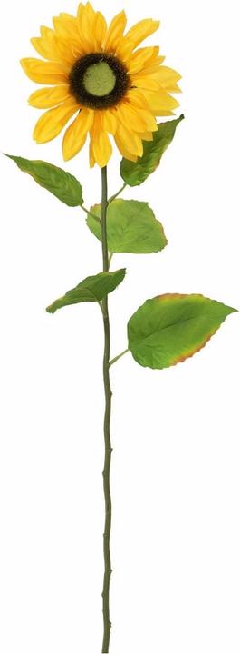 Actual product image Europalms Sunflower (70 cm)